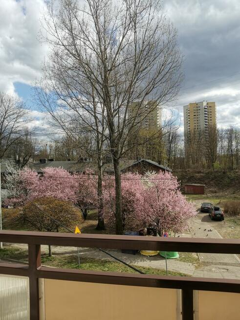 Mieszkanie Katowice Bogucice