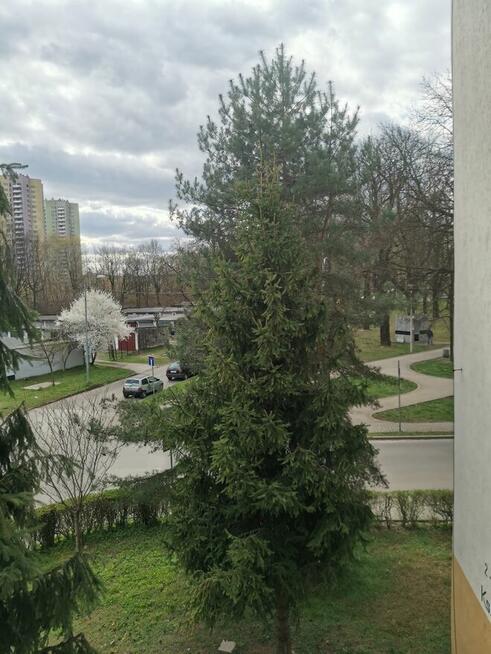 Mieszkanie Katowice Bogucice