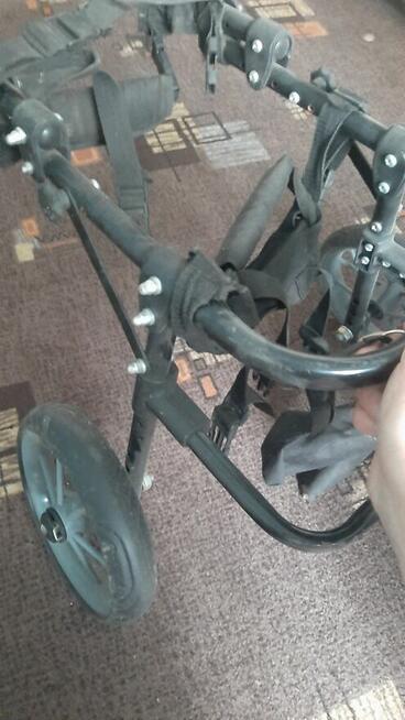 wózek inwalidzki dla psa