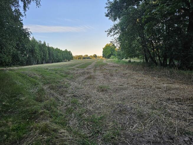 Działka rolna 1,3 ha