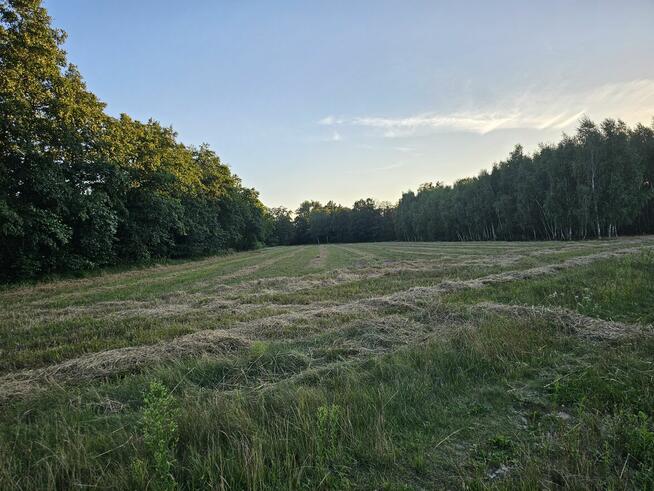 Działka rolna 1,3 ha