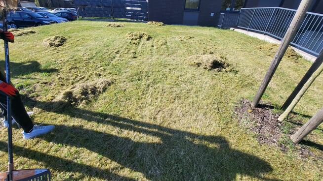 Poszukujemy pracowników do koszenia oraz grabienia