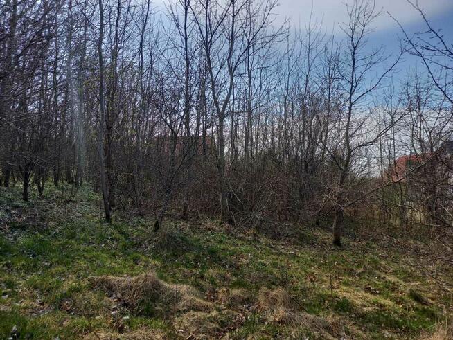 Działka nad morzem Rusinowo