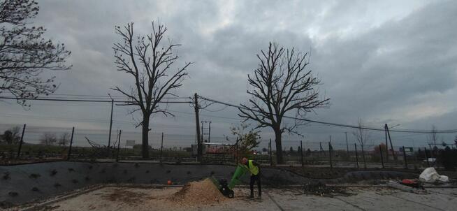 Pielęgnacja ogrodów oraz wycinka drzew metodą alpinistyczną.