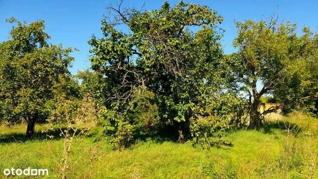 Działka pierwsza linia zabudowy