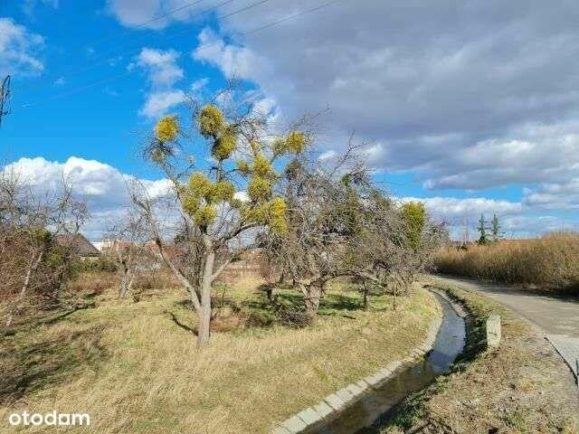 Działka pierwsza linia zabudowy
