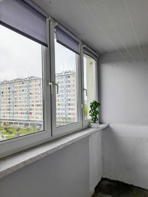 3-pokojowe mieszkanie, Oleśnica przy pl.Zwycięstwa