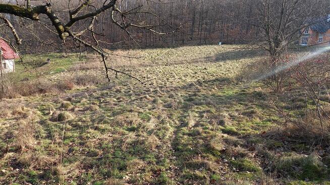 Działka w miejscowosci Kłonice