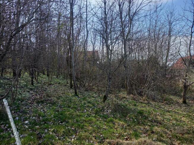 Działka nad morzem Rusinowo