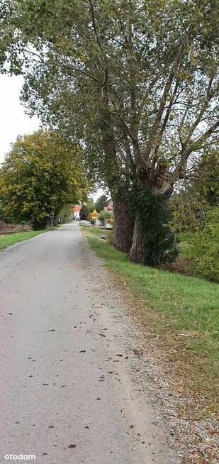 Działka, 3 300 m², Suchy Dwór