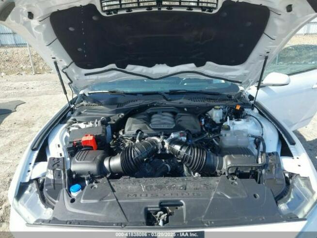 Mustang Fastback 5.0 V8 2024