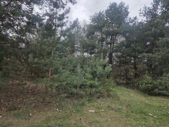 Działka budowlana Stefanówka gm. Wiązowna