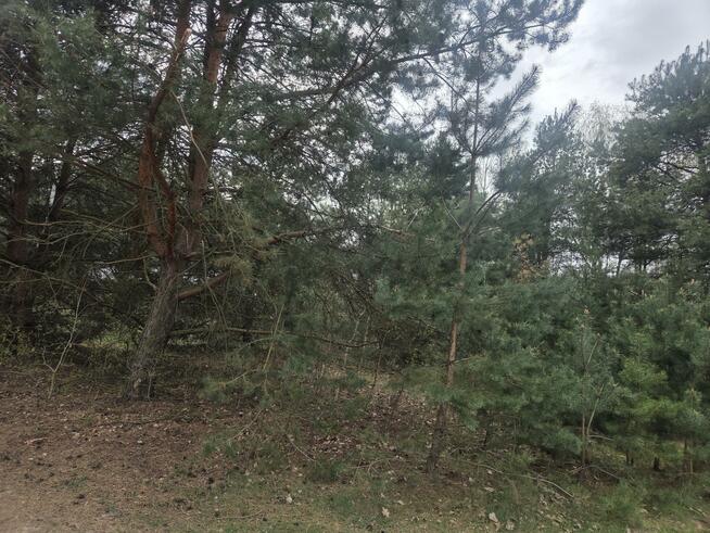 Działka budowlana Stefanówka gm. Wiązowna