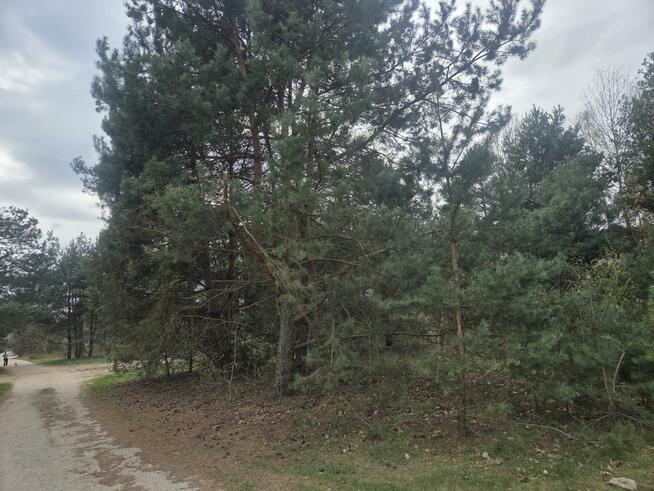 Działka budowlana Stefanówka gm. Wiązowna