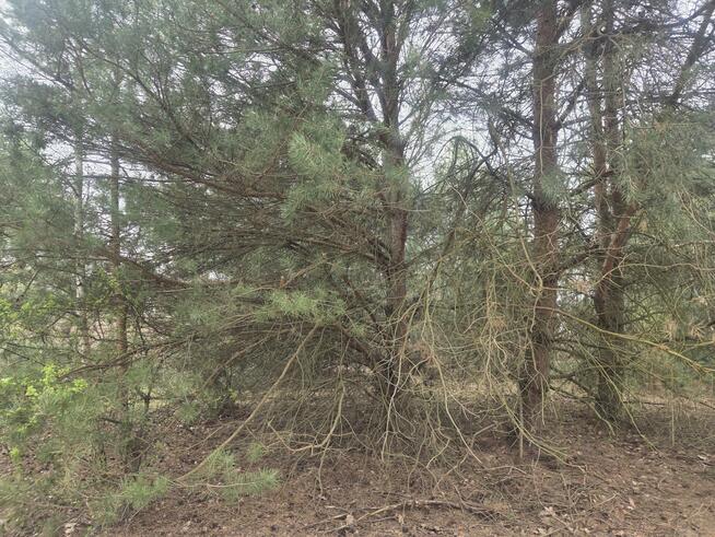 Działka budowlana Stefanówka gm. Wiązowna