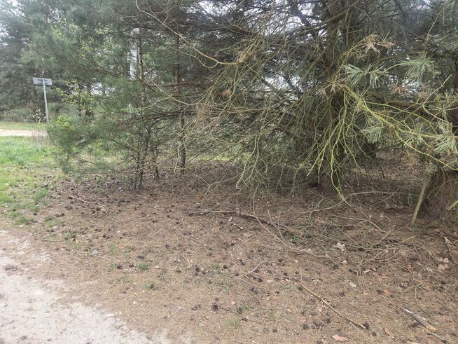 Działka budowlana Stefanówka gm. Wiązowna