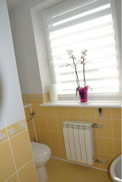 Dwa budynki mieszkalne na działce o pow. 1000 m2.