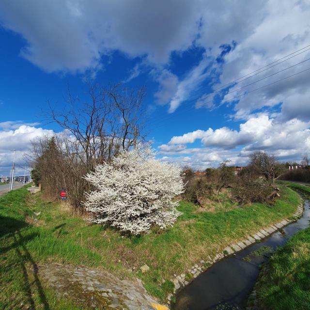 Działka budowlana Wrocław Krzyki, Jagodno, Buforowa