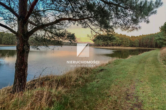 Działka Budowlana 4000 m2 z Rozpoczętą Budową Domu