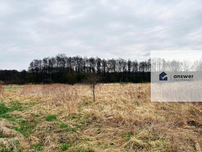 NA SPRZEDAŻ DUŻA DZIAŁKA BUDOWLANA W KOCHLICACH