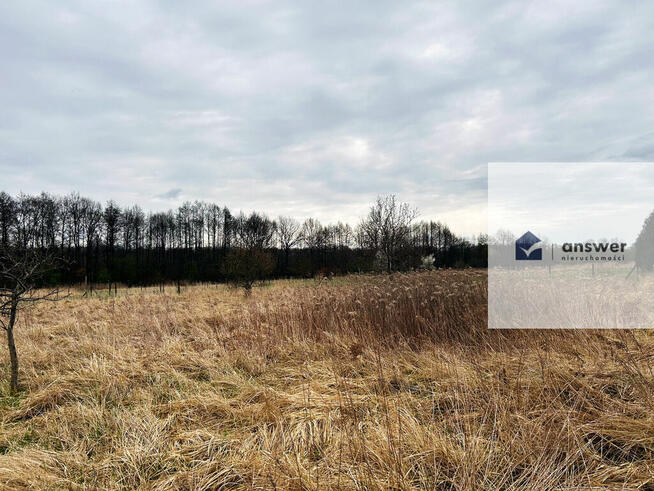 NA SPRZEDAŻ DUŻA DZIAŁKA BUDOWLANA W KOCHLICACH