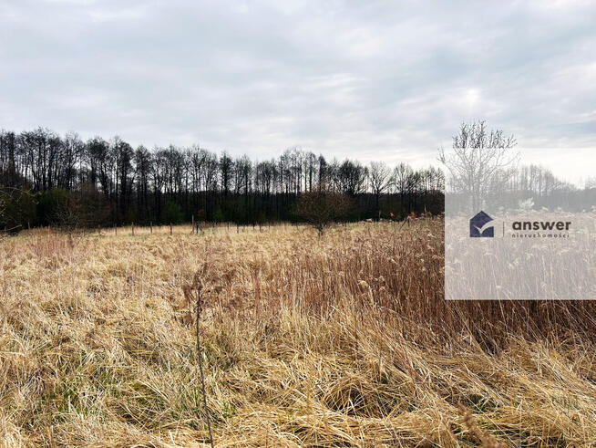 NA SPRZEDAŻ DUŻA DZIAŁKA BUDOWLANA W KOCHLICACH