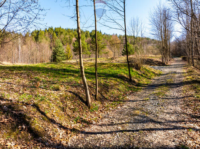 DZIAŁKA Z POZWOLENIEM NA BUDOWĘ DOMKU W STRÓŻY.
