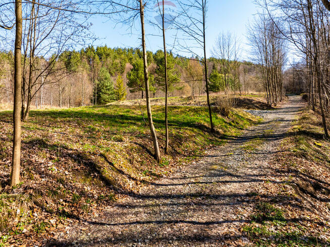 DZIAŁKA Z POZWOLENIEM NA BUDOWĘ DOMKU W STRÓŻY.