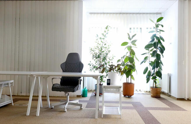 Jasny lokal biurowy w centrum miasta do wynajęcia