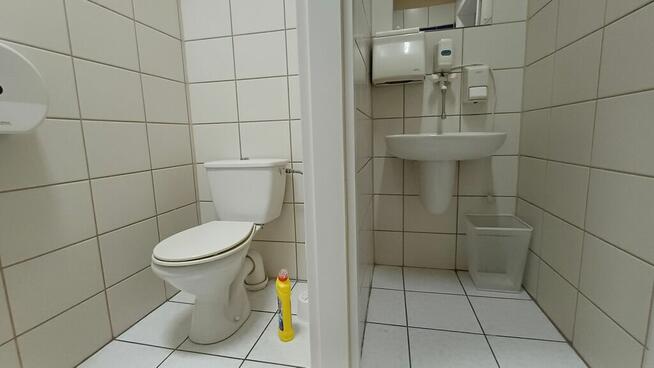 Jasny lokal biurowy w centrum miasta do wynajęcia