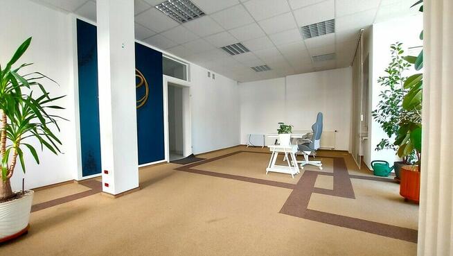 Jasny lokal biurowy w centrum miasta do wynajęcia