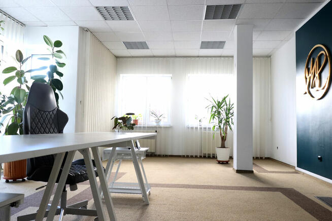 Jasny lokal biurowy w centrum miasta do wynajęcia