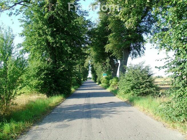 Działka budowlana Szropy.