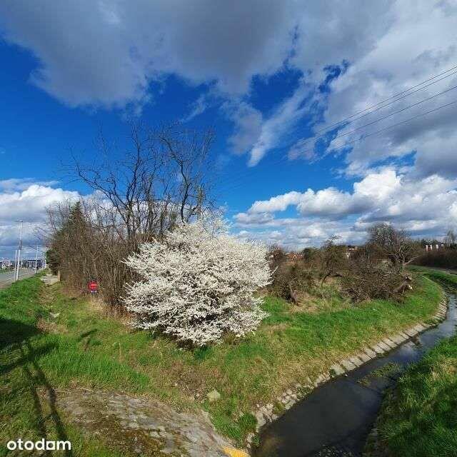 Działka pierwsza linia zabudowy