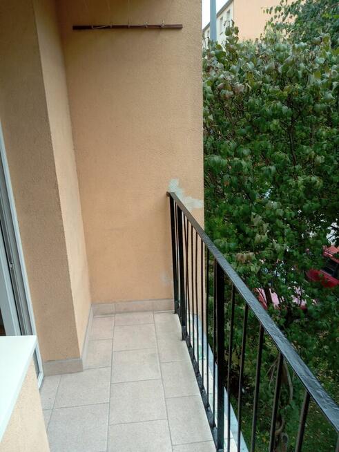 Wynajmę mieszkanie od maja 3 pokoje Tarnobrzeg