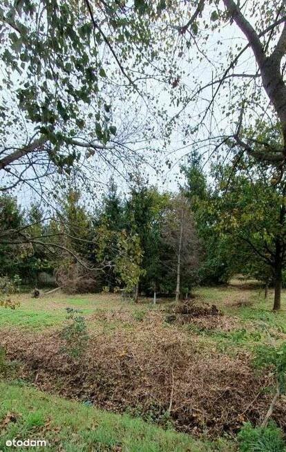 Działka, 3 300 m², Suchy Dwór