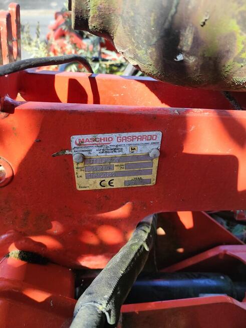 Głębosz gaspardo 3 m