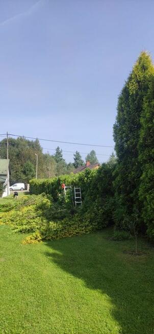 Pielęgnacja ogrodów oraz wycinka drzew metodą alpinistyczną.