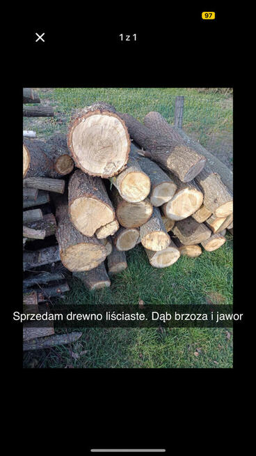 Sprzedam drewno liściaste