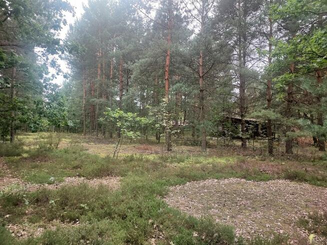 Dobre Dzielnica Stare Poręby 60