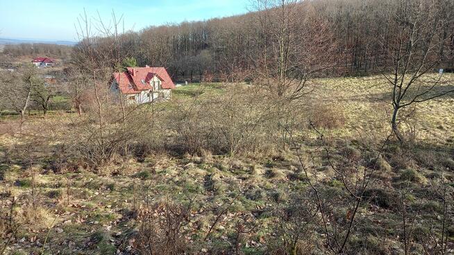 Działka w miejscowosci Kłonice