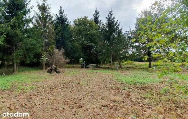 Działka, 3 300 m², Suchy Dwór