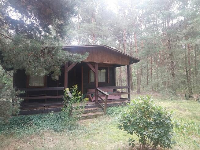 Dobre Dzielnica Stare Poręby 60