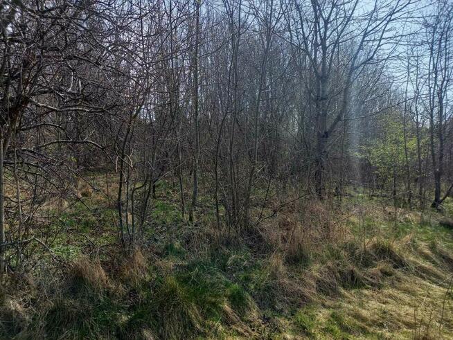 Działka nad morzem Rusinowo