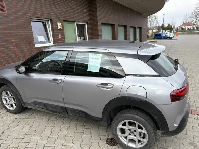 Citroen c4 cactus