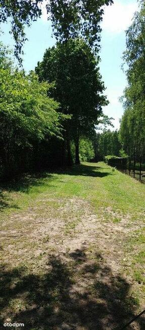 Strykowska /Łodzianka przy Lesie Łagiewnickim WZ