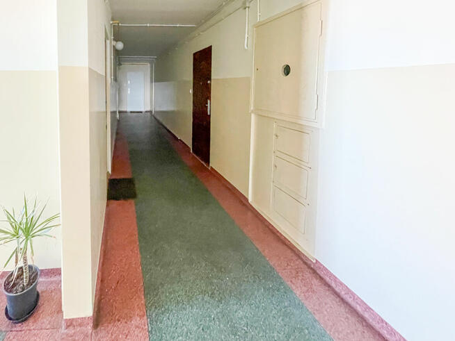 Kawalerka na osiedlu Wichrowe Wzgórze, Winogrady, Poznań