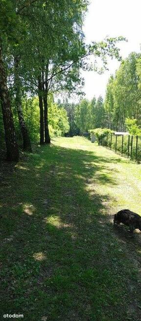 Strykowska /Łodzianka przy Lesie Łagiewnickim WZ