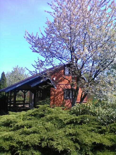 Sprzedam piekną, dużą działkę ROD Chotomów