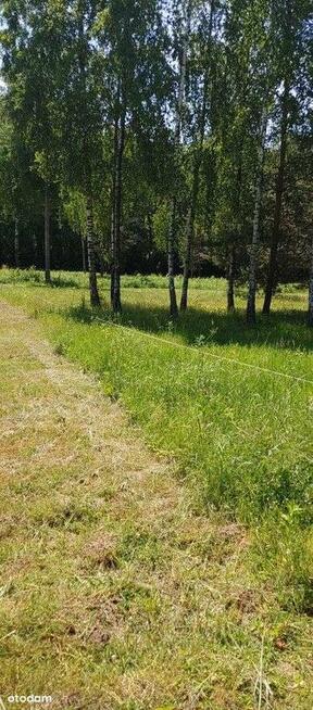 Strykowska /Łodzianka przy Lesie Łagiewnickim WZ